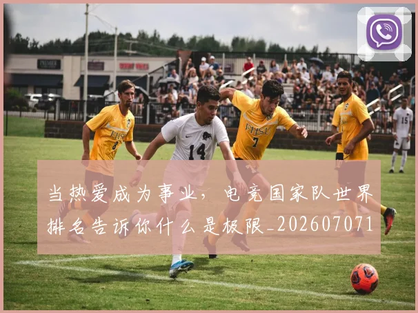 当热爱成为事业,电竞国家队世界排名告诉你什么是极限_20260707152603
