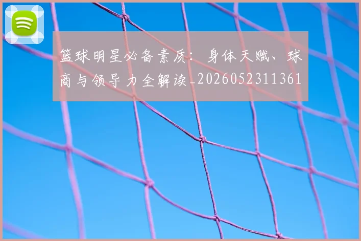 篮球明星必备素质:身体天赋、球商与领导力全解读_20260523113615